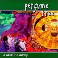 Perfume Tree - Lifetime Away Perfume Tree - Lifetime Away